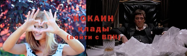 дживик Абинск