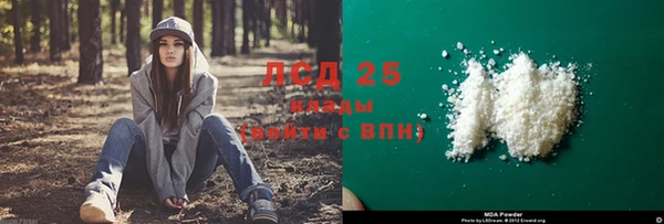 дживик Абинск