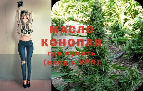 дживик Абинск