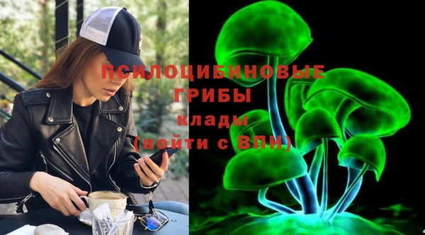 тгк Абаза