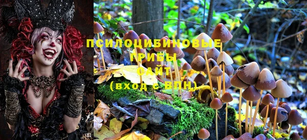 дживик Абинск
