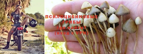 соль курить ск Алексеевка