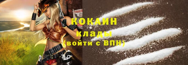дживик Абинск