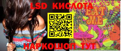 гидра Кандалакша