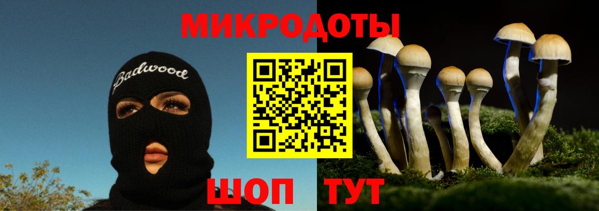 Псилоцибиновые грибы прущие грибы Каменка